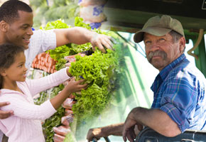 a farmer and shoppers choosing produce