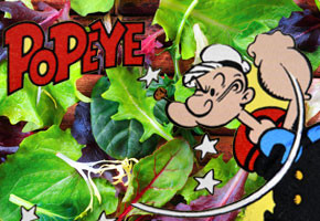 Popeye and Greens