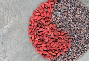 Goji berries and cacao nibs shaped in Yin Yang symbol