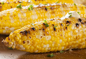 Organic grilled corn on the cob