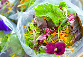 salad and edible flowers