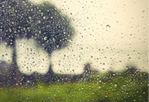 Raindrops on a window