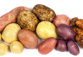 a variety of potatoes