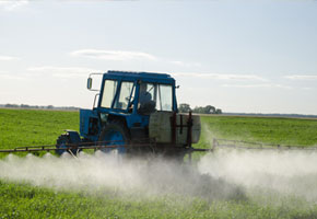 Tractor spraying insecticide and herbicide chemicals in agriculture field