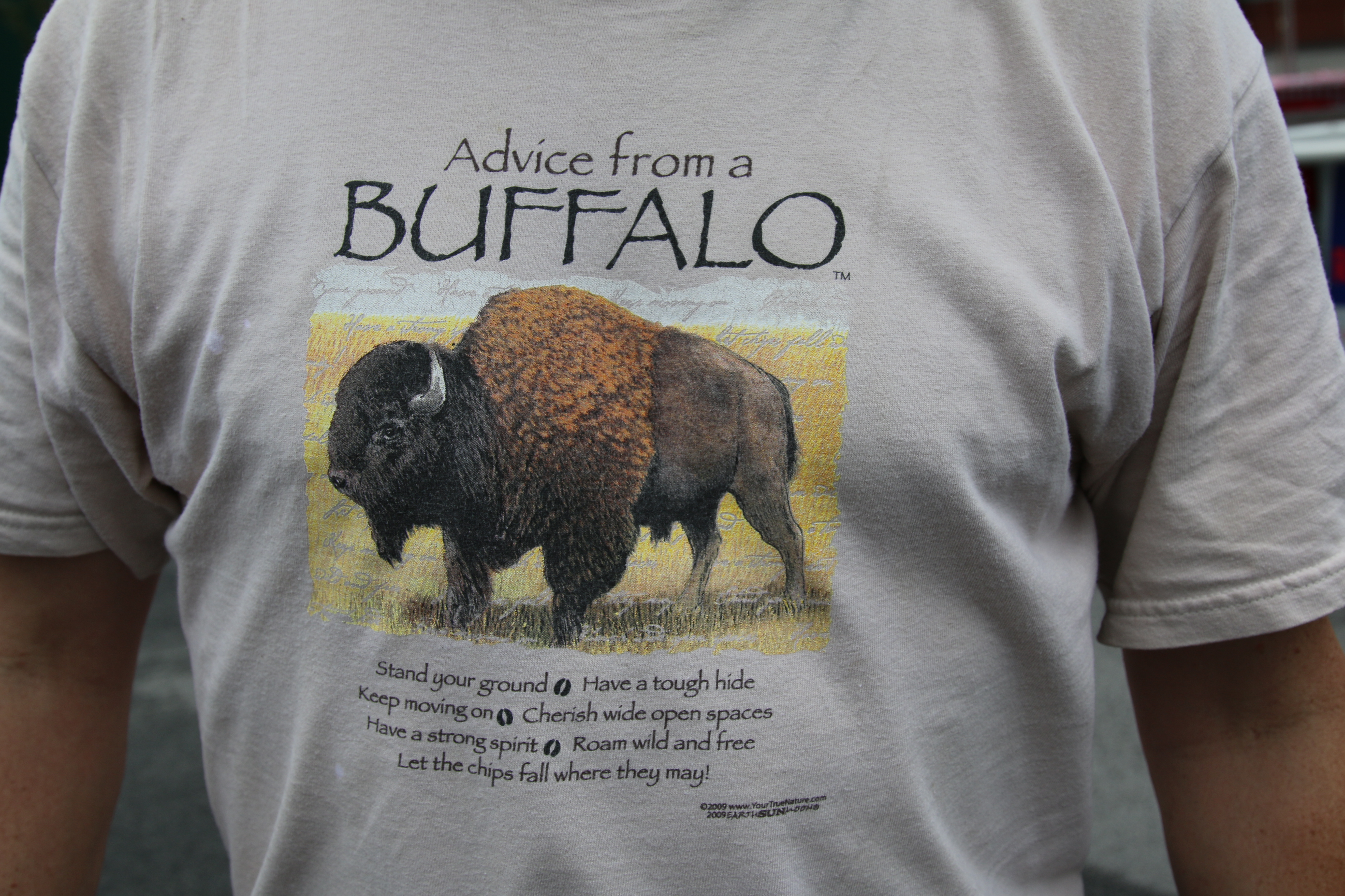 t-shirt with a picture of a buffalo
