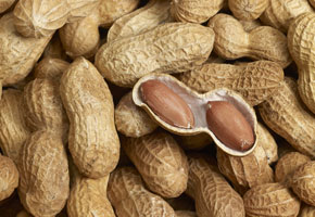Peanuts with a shelled peanut in the middle