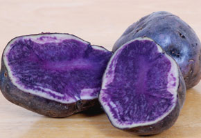 Close up of blue potatoes sliced in half