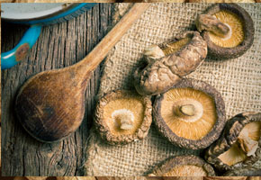 mushrooms on a burlap cloth with a wooden spoon