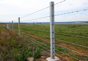 Cattle Fence On Farm