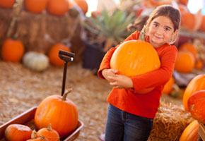 Girl Choosing A Pumpkin at A Pumpkin Patch