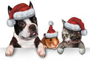 an illustration of a boxer puppy, a hamster and a kitten wearing santa hats to illustrate pet adoption
