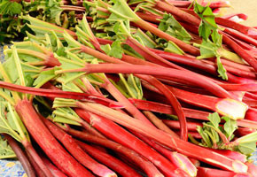 rhubarb