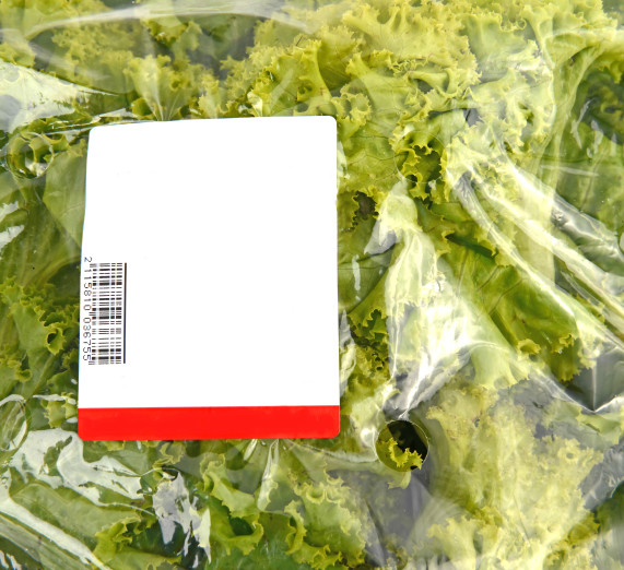 Iceberg Lettuce In Plastic Bag Package
